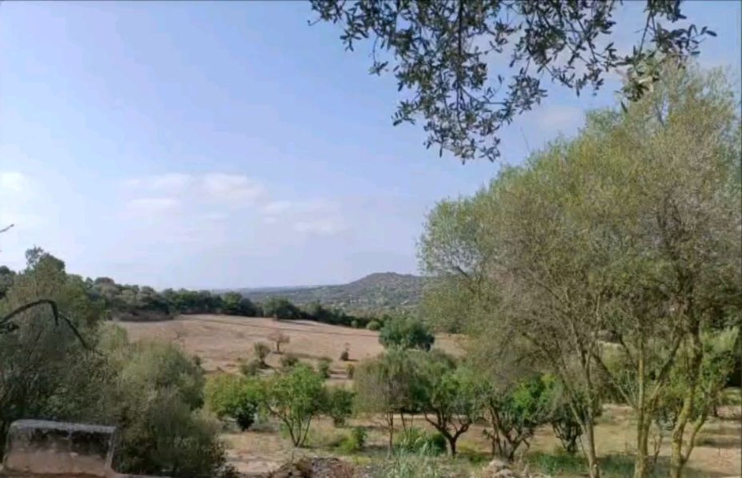 Finca rústica en Camino Vial, 747 - Foto 2