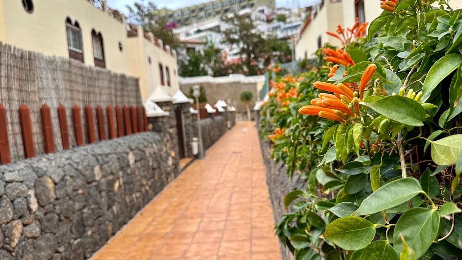 Casa o chalet independiente en Calle Atalisca, 21, San Felipe-San Marcos-Las Cañas, San Felipe-San Marcos-Las Cañas - Foto 4