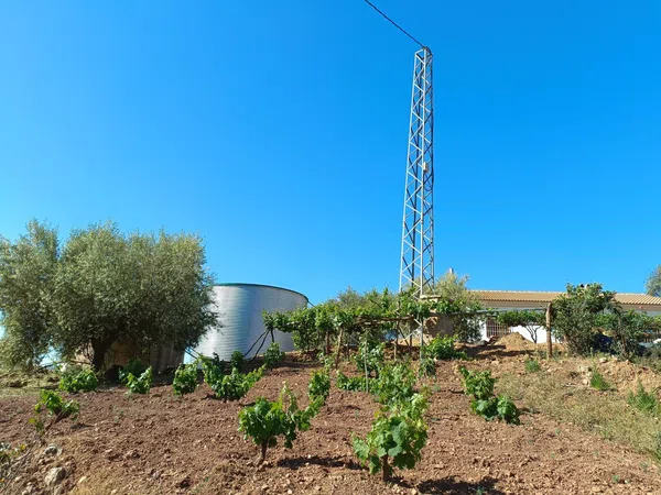 Casa rural en Camino de Vélez s/n - Foto 7