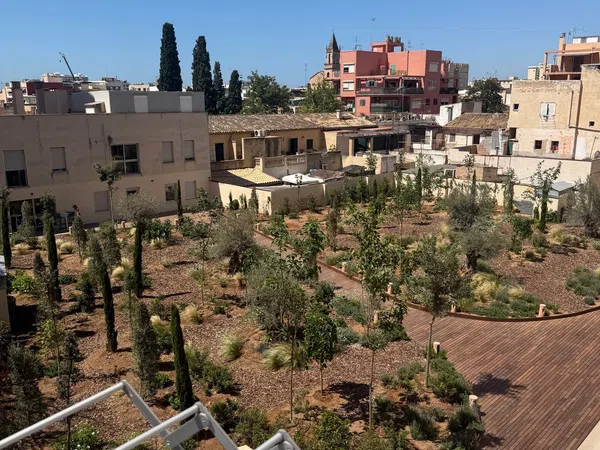 Piso en Calle de Manacor, 142, Nou Llevant - Foto 13