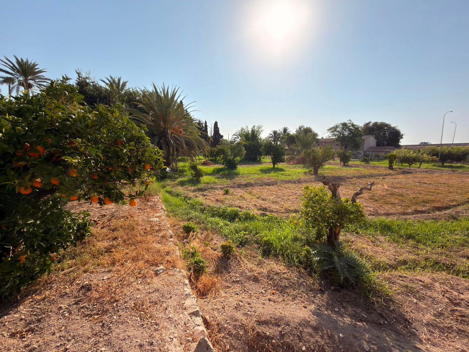 Masía en Masía en El Secanet - Hacienda del Sol, El Secanet - Hacienda del Sol - Foto 23