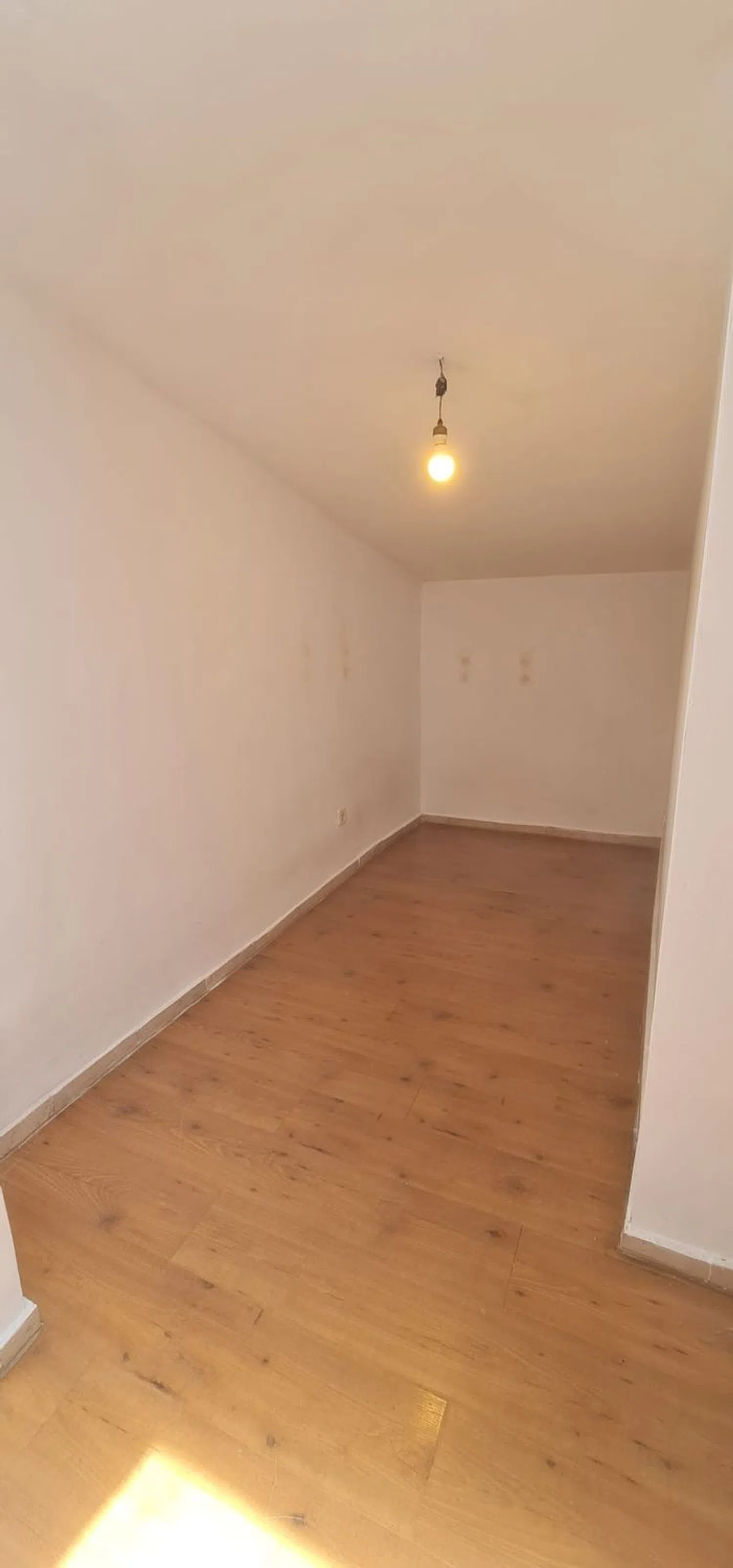Estudio en calle Manuel Nogueiro, 13 - Foto 4