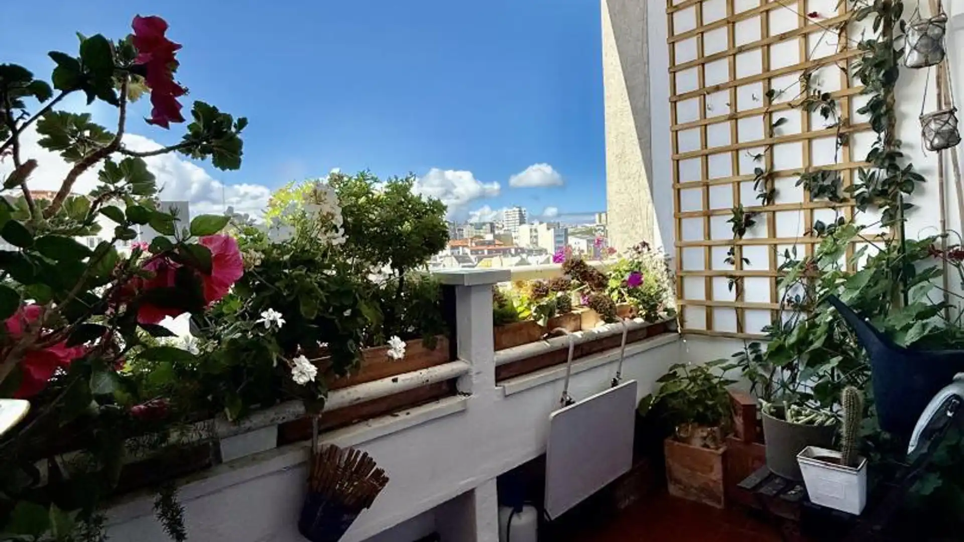 Piso en  Travesía Modesta Goicouría 7 - Foto 25