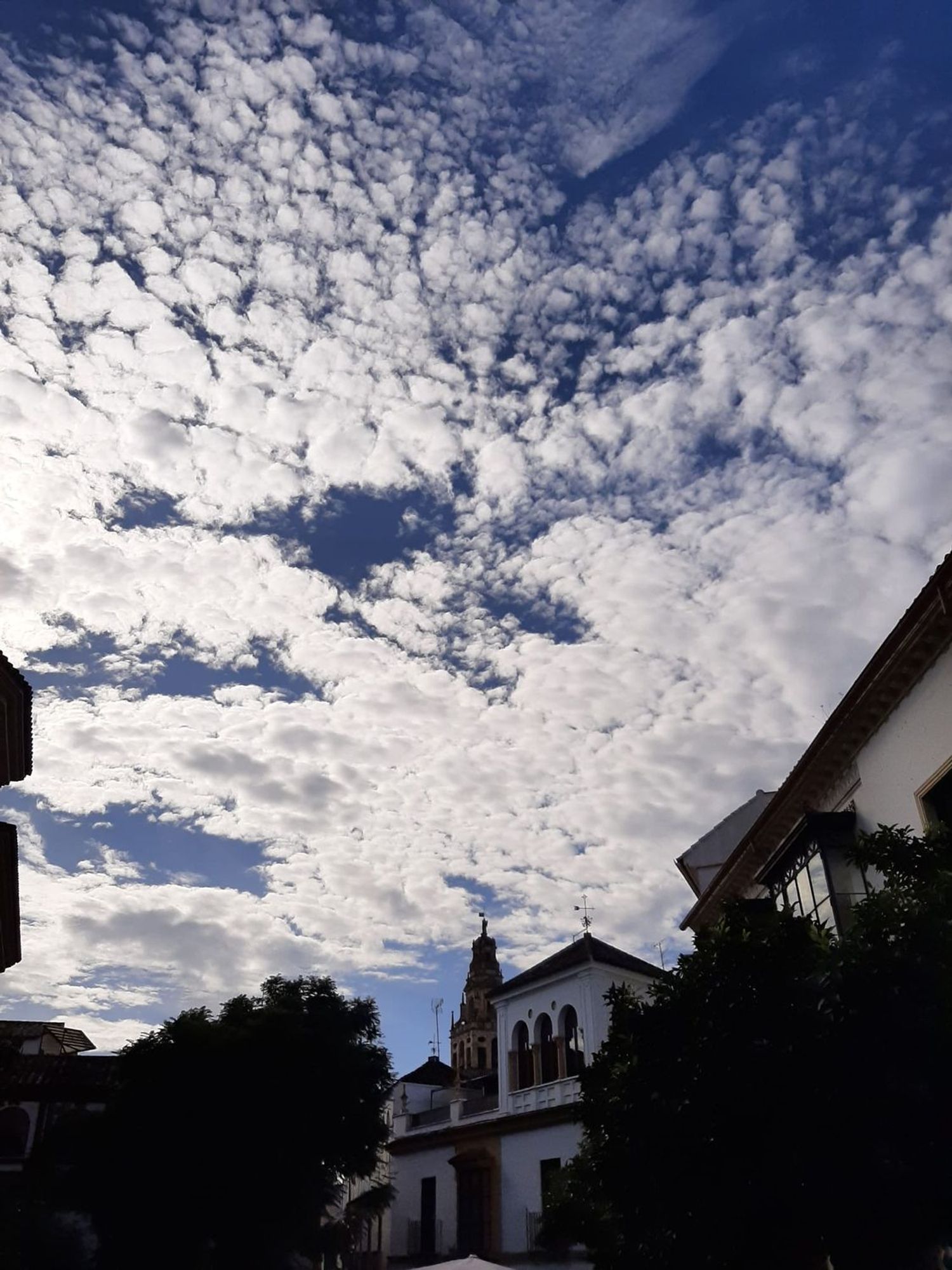 Ático en calle Blanco Belmonte, 15 - Foto 15