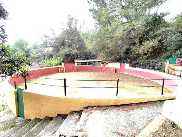 Casa o chalet independiente en venta en Llanos De Purla, 16 - Foto 7