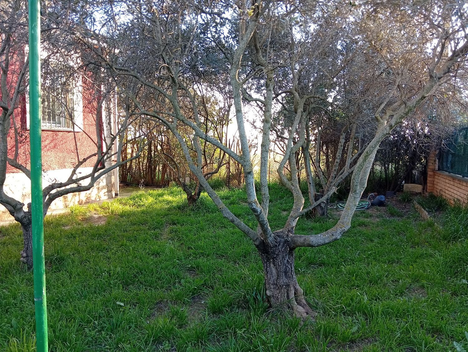 Casa independiente en Urbanización los Guarales, 22 - Foto 17