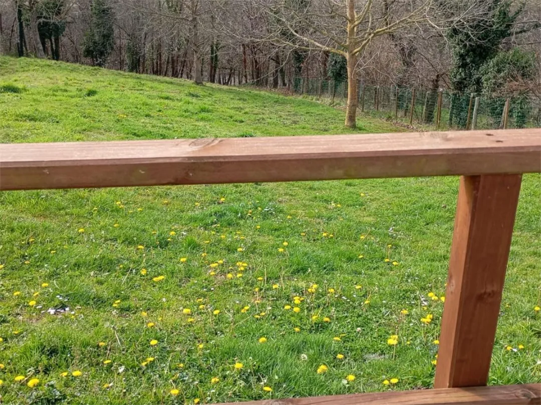 Chalet en  Caserio Reanes 73B - Foto 17