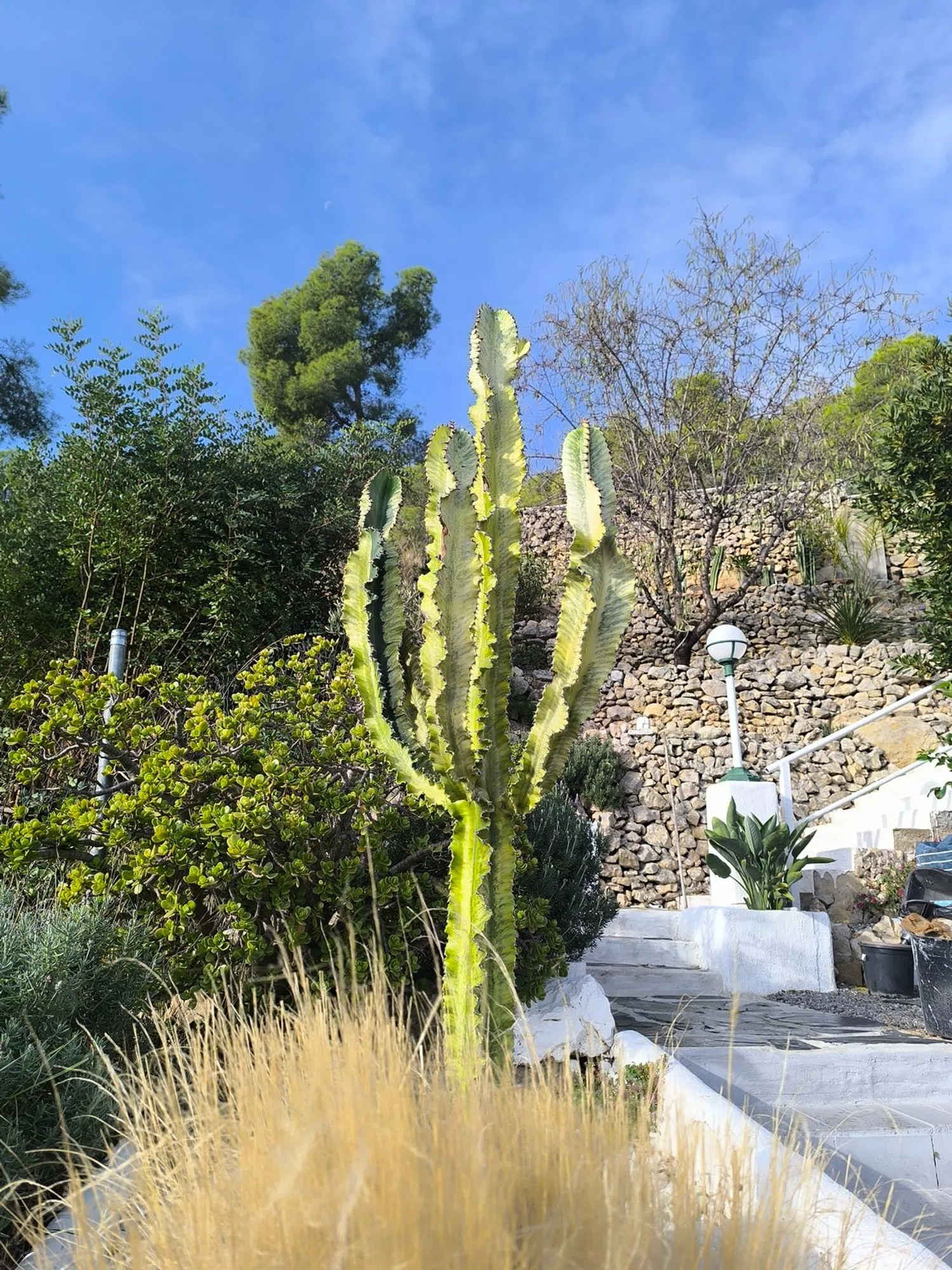 Casa independiente en parc garraf, els vinyals, 2006 - Foto 19