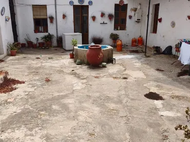 Planta baja en  Calle Sindica 2 - Foto 3
