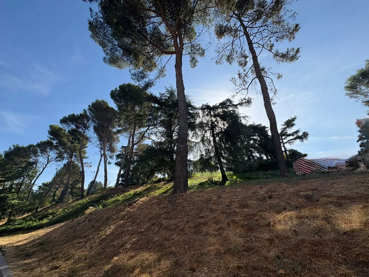 Piso en avenida de Palomeras, 53 - Foto 5