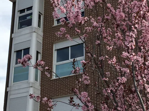 Piso en calle Algete, 13 - Foto 19