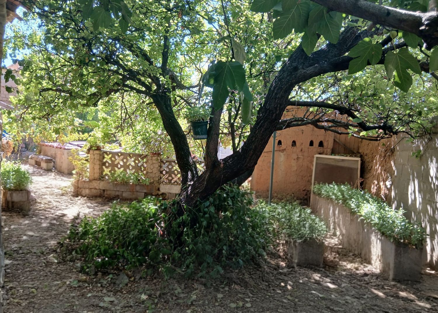 Casa de pueblo en Calvo Sotelo, 20 - Foto 20