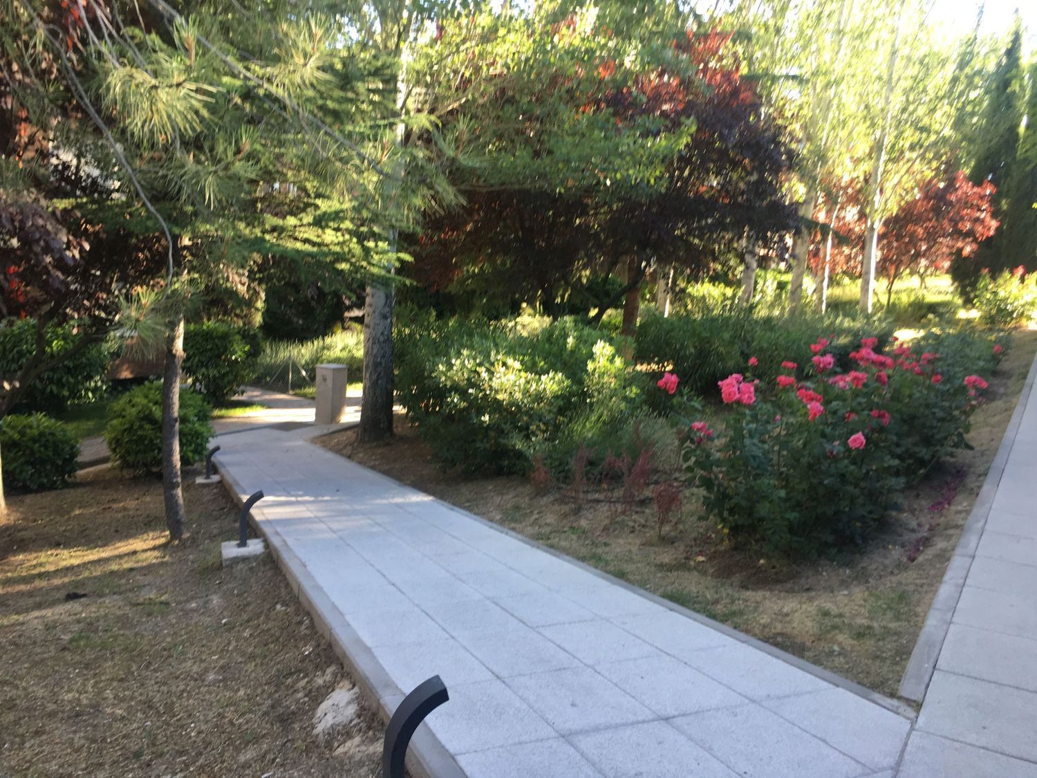 Piso en calle solano, 6 -20 - Foto 5