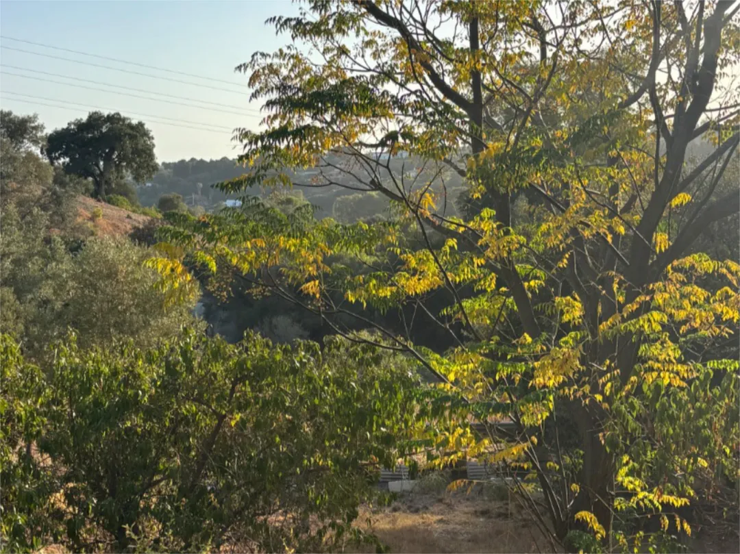 Chalet en  Calle de la Palmera 6 - Foto 9