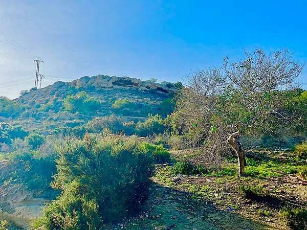 Finca rústica en camino Viejo de Saladas, 2 - Foto 20