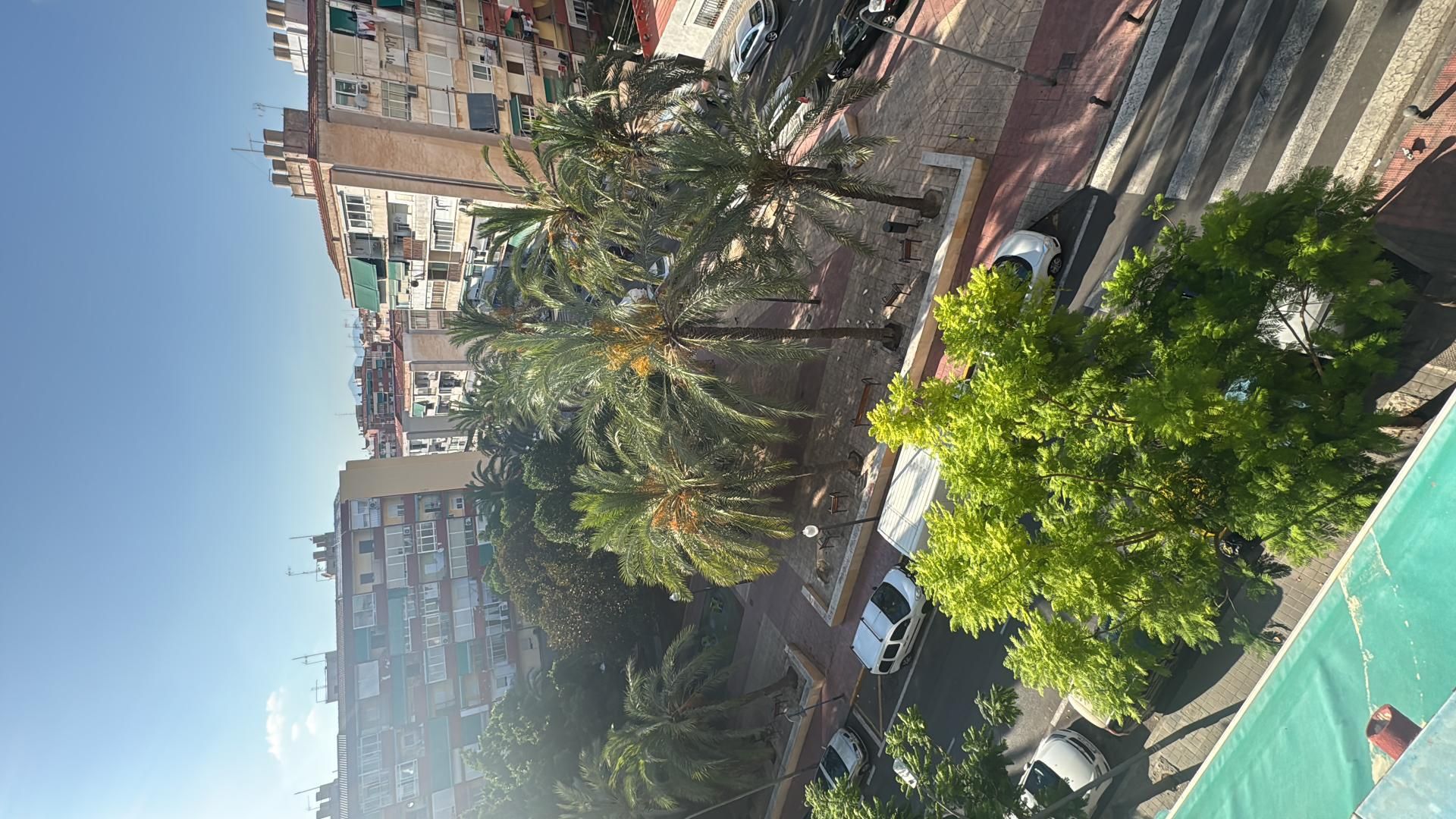 Piso en  Calle Fiscal Miguel Gutiérrez Carbonell 5 - Foto 5