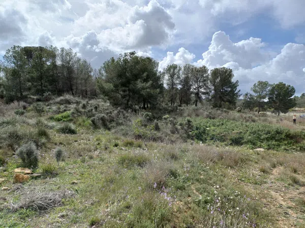 Casa independiente en Sierra de la Pila, 3 - Foto 16