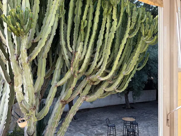 Casa independiente en Centro - Foto 18