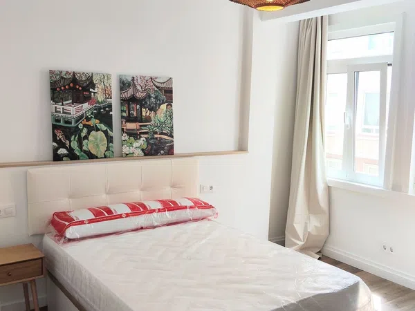 Piso en Calle Eugenio Carré Aldao, 20, Os Mallos, Os Mallos - Foto 12