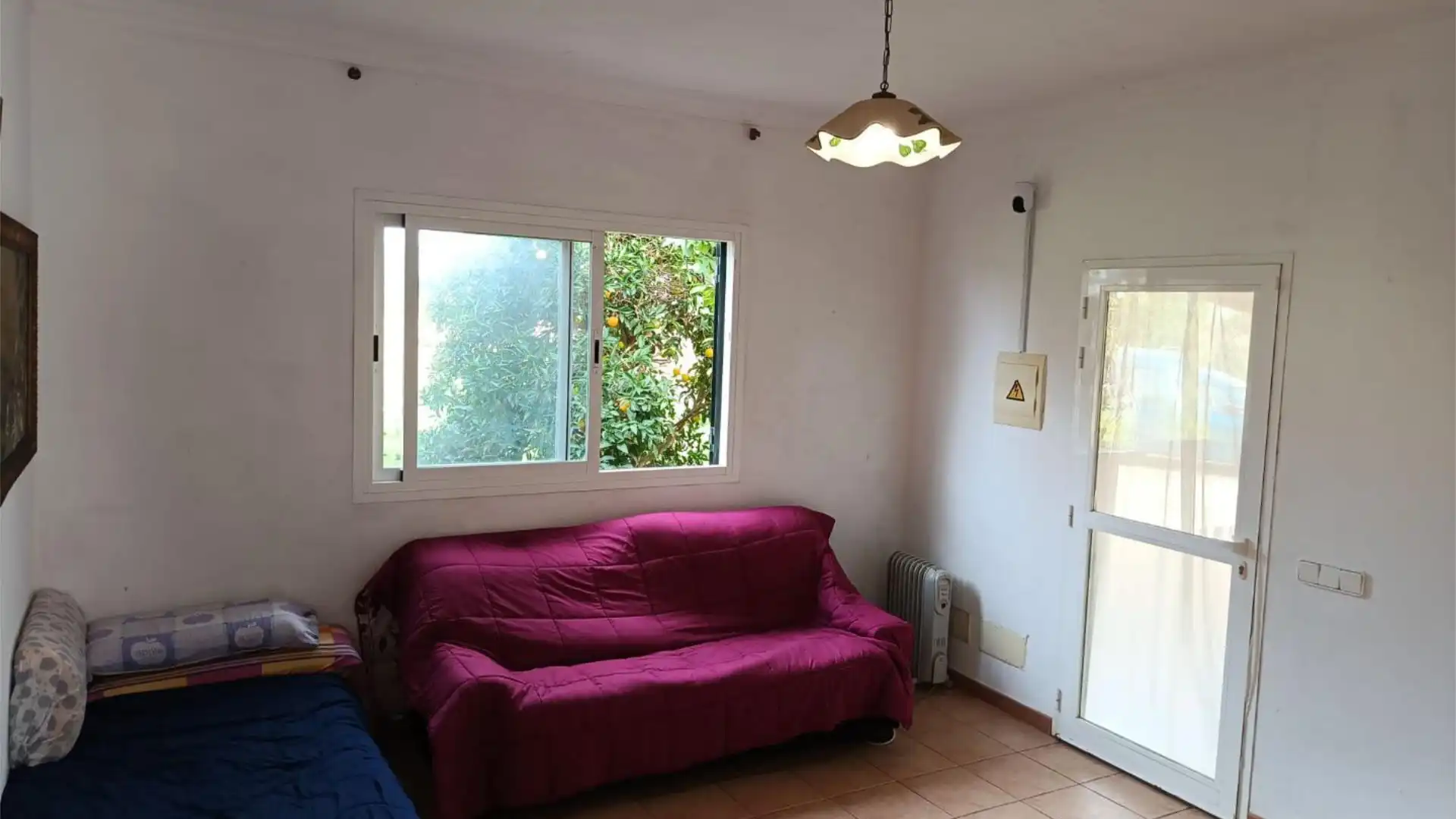 Finca rústica en  Camí Vell de Cala Pi 41 - Foto 5