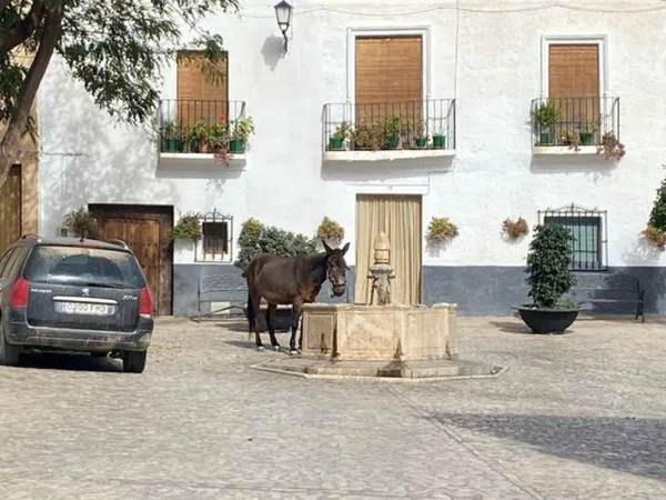 Casa de pueblo en Calle Peñuelas, 24 - Foto 6