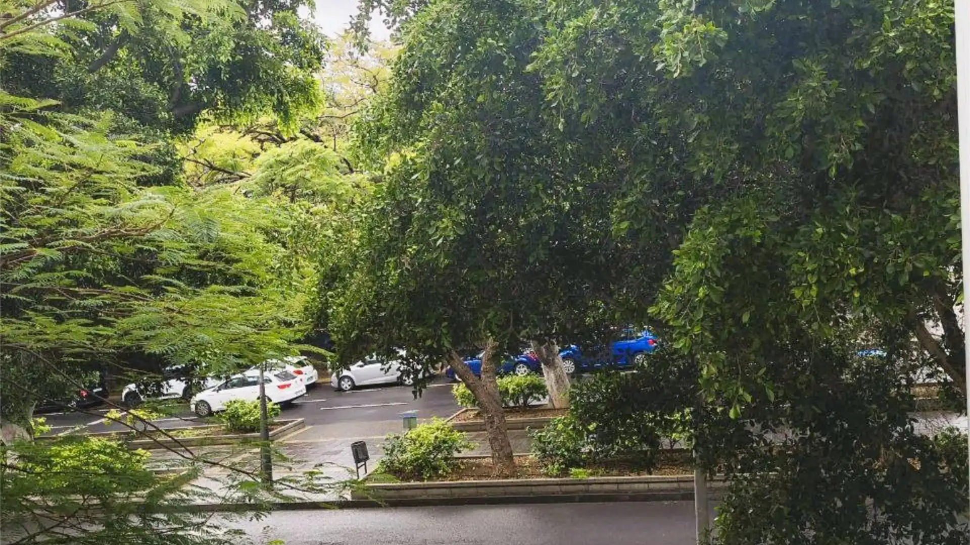 Piso en  Avenida de Benito Pérez Armas 4 - Foto 2