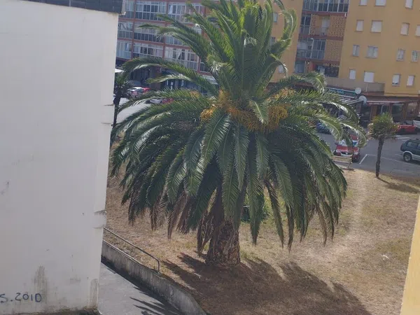 Piso en Calle Concello de Sarria, 45 - Foto 13