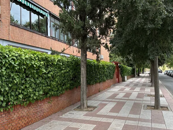 Piso en plaza de las Olivas, 1 - Foto 2