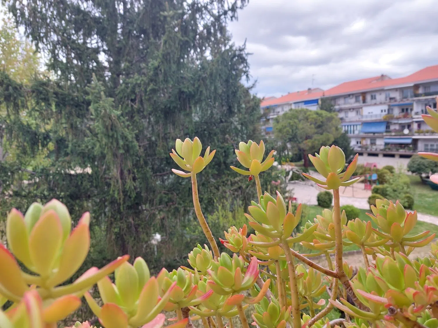 Piso en Parque de la Coruña - Las Suertes - Foto 4