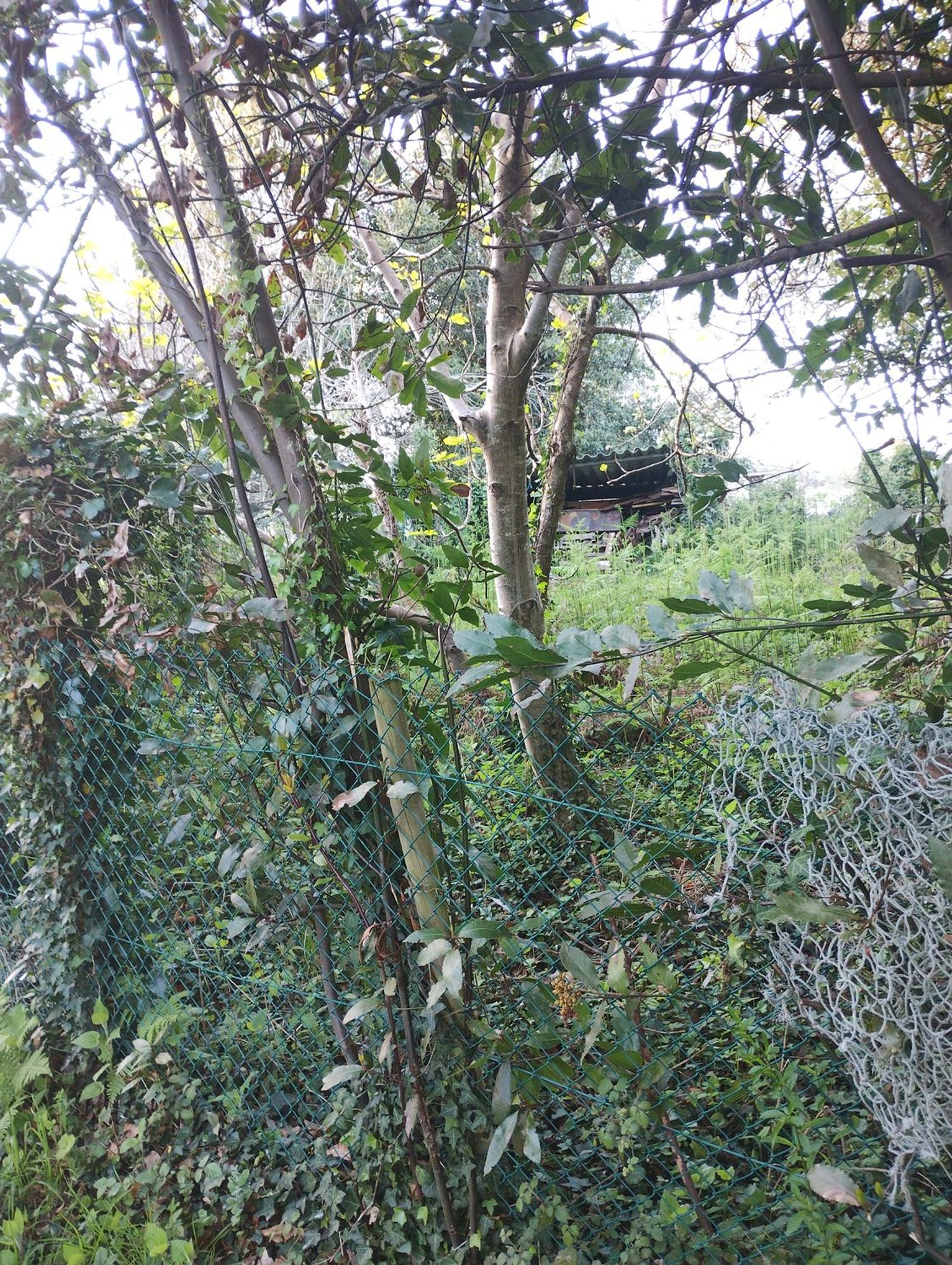 Casa de pueblo en Cristo de la Trave, 9 - Foto 3