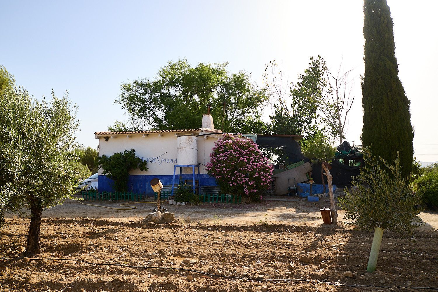 Finca rústica en Camino de la Mata s/n - Foto 4