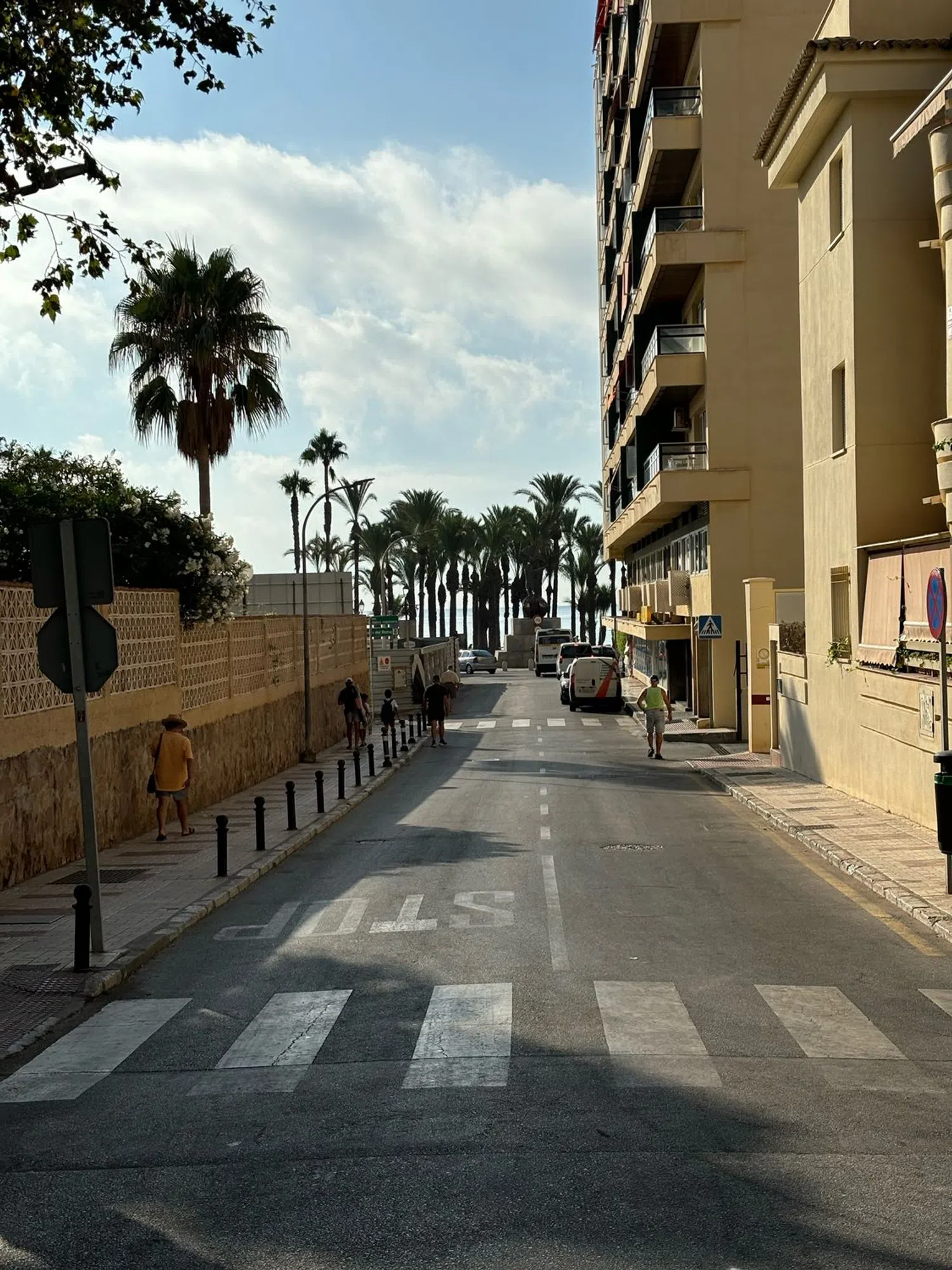 Piso en Costa de la Carihuela, 8 - Foto 5