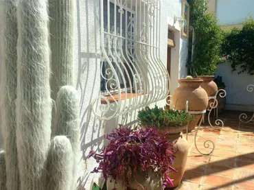 Chalet en Gandia - Foto 31