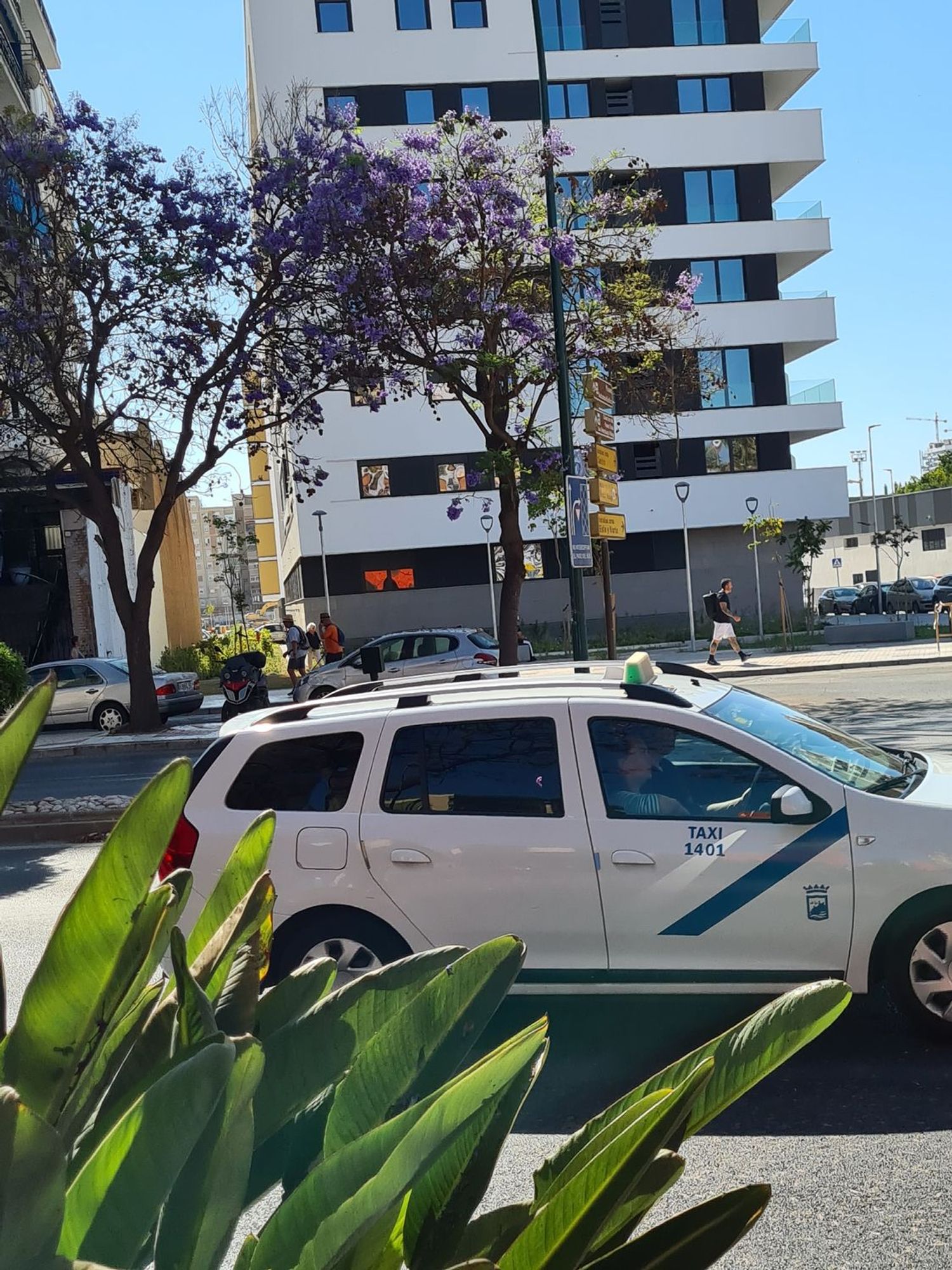 Piso en Avenida de Velázquez, 93, Los Guindos - Parque Mediterráneo - Santa Paula - Foto 16