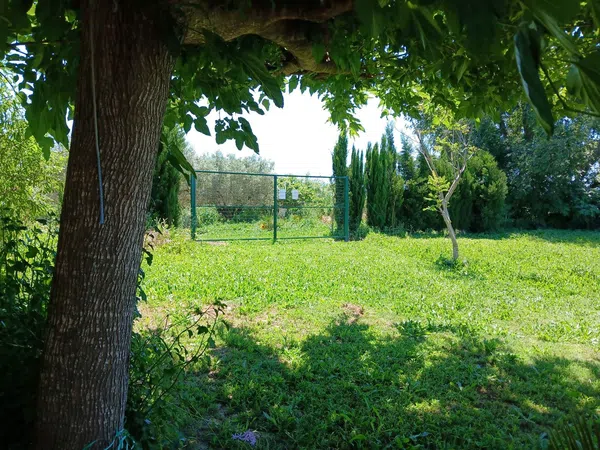 Masía en Masía en Camino salva-aigües, 96, Urbanizaciones, Urbanizaciones - Foto 23