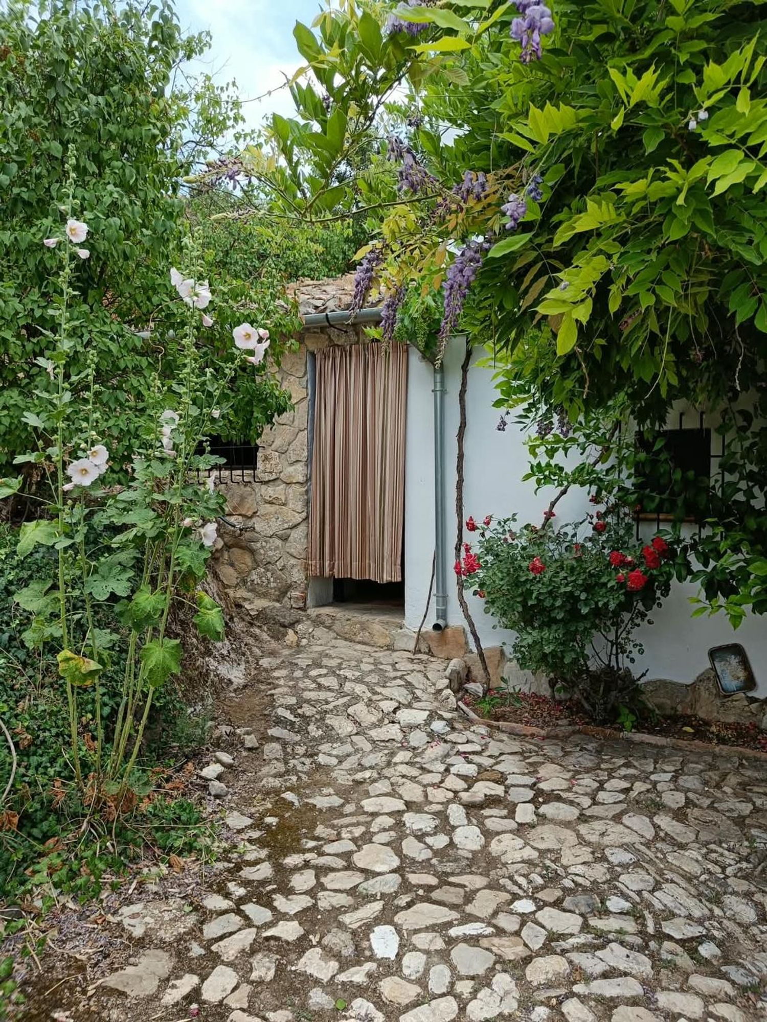 Casa rural en Calle Huertas, 16 - Foto 3