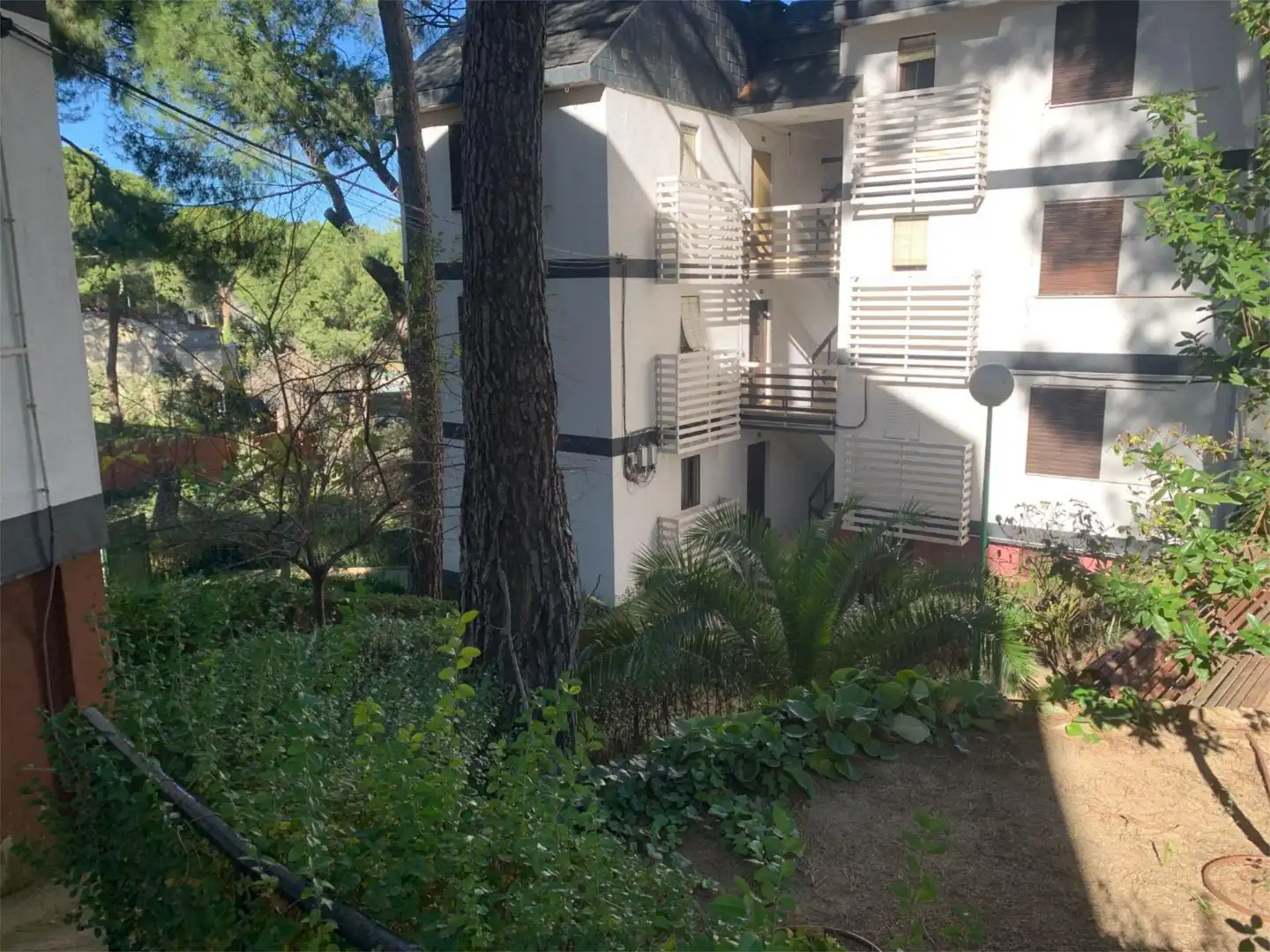 Apartamento en  Avenida de la Costa de Madrid 254 - Foto 5