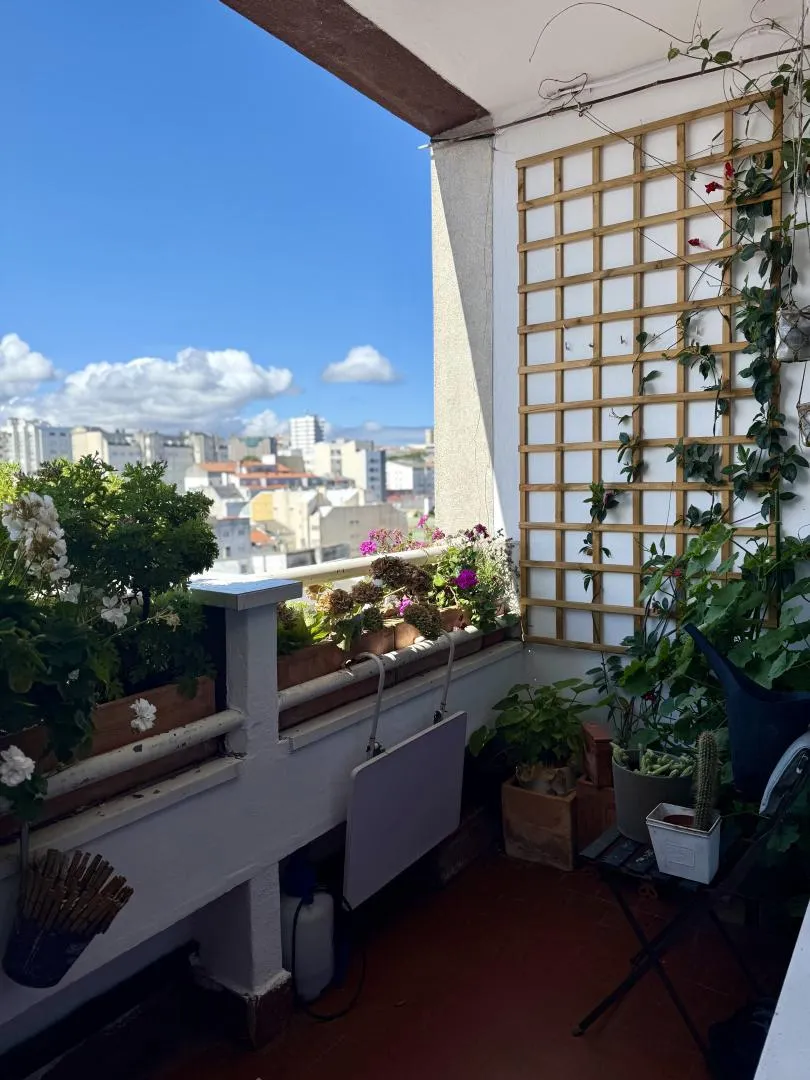 Piso en  Travesía Modesta Goicouría 7 - Foto 26