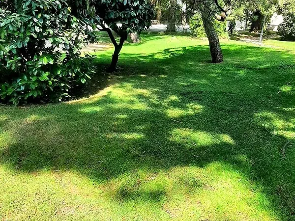 Piso en M-601, 10, Dehesa - El Soto, Dehesa - El Soto - Foto 14
