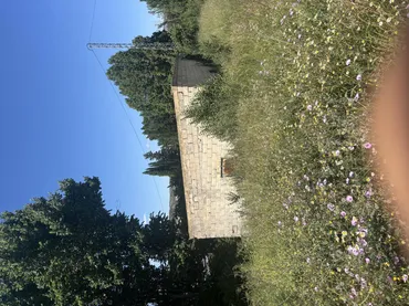 Finca rústica en  Paraje Puente del Rio Segura 79 - Foto 16