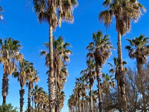 Chalet adosado en calle de l'Arquebisbe Company, 20 - Foto 32