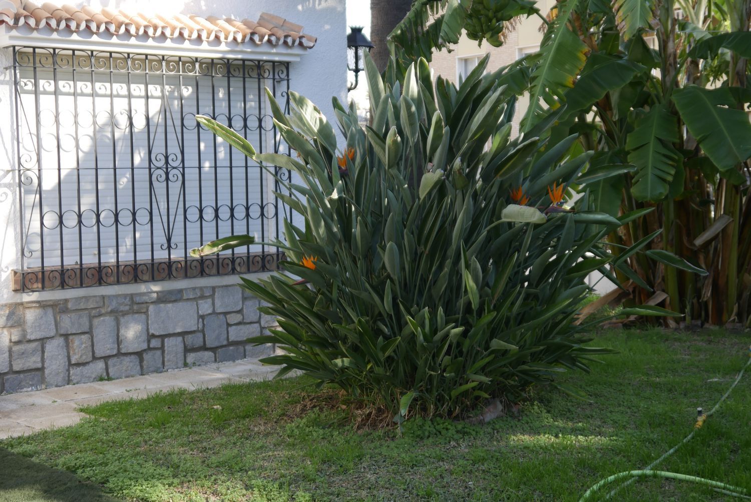 Casa independiente en calle Don Diego de Miranda, 6 - Foto 13