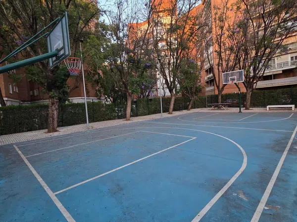 Piso en Avenida Manuel Siurot, 3 - Foto 14