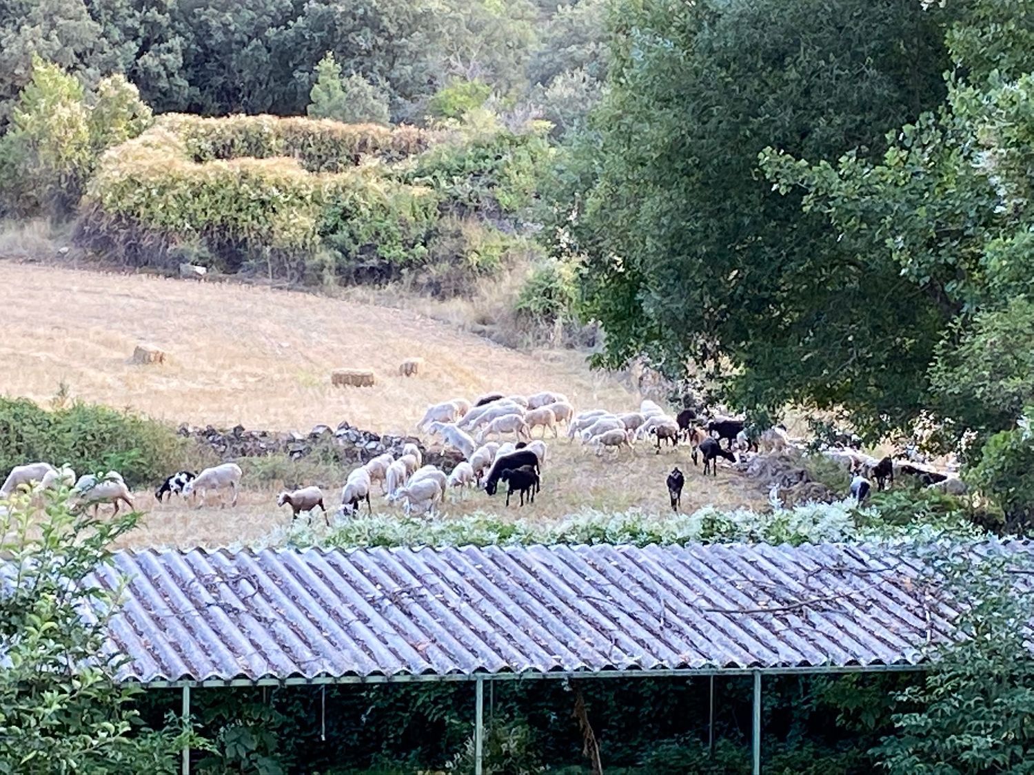 Casa rural en Sigüenza - Foto 4