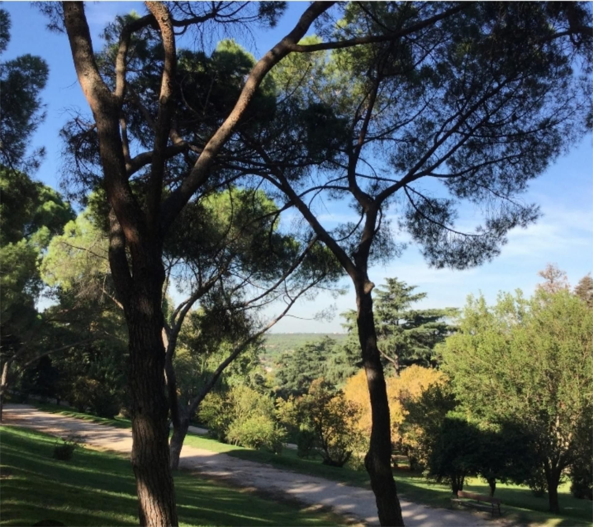 Piso en calle Calle Cadarso 21 - Foto 14