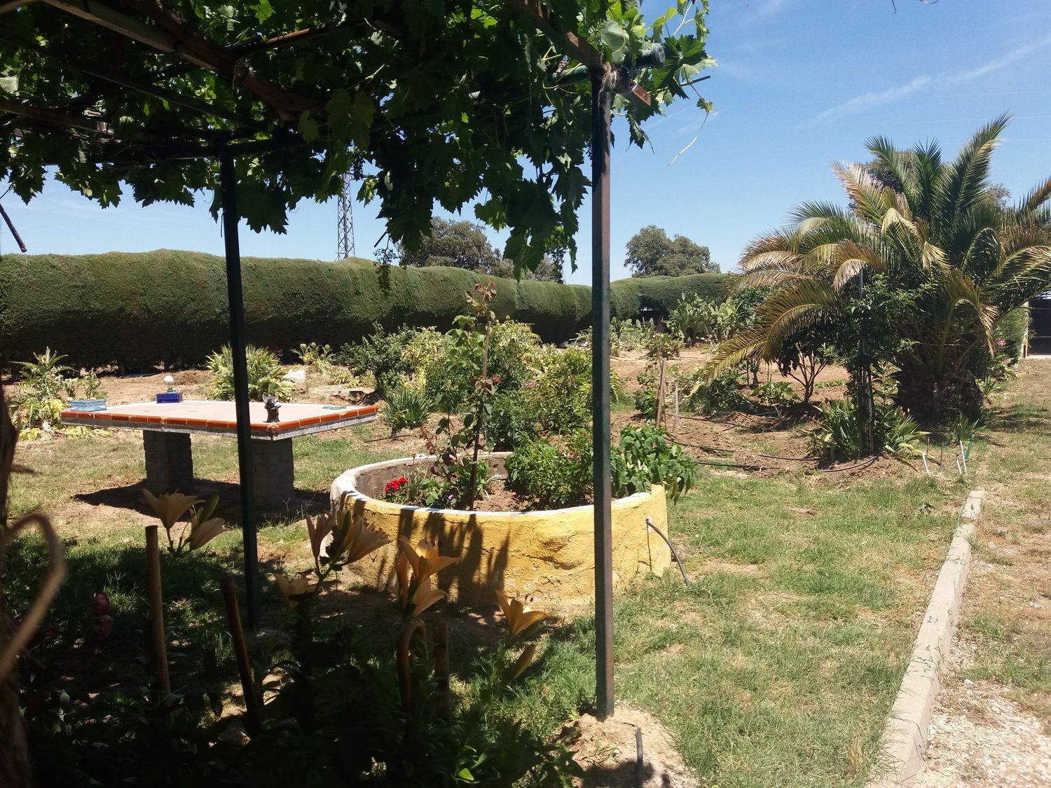 Casa o chalet independiente en Avenida Río Alberche, 24 - Foto 4