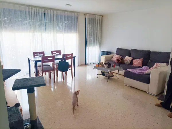 Piso en San luis, 42 - Foto 1