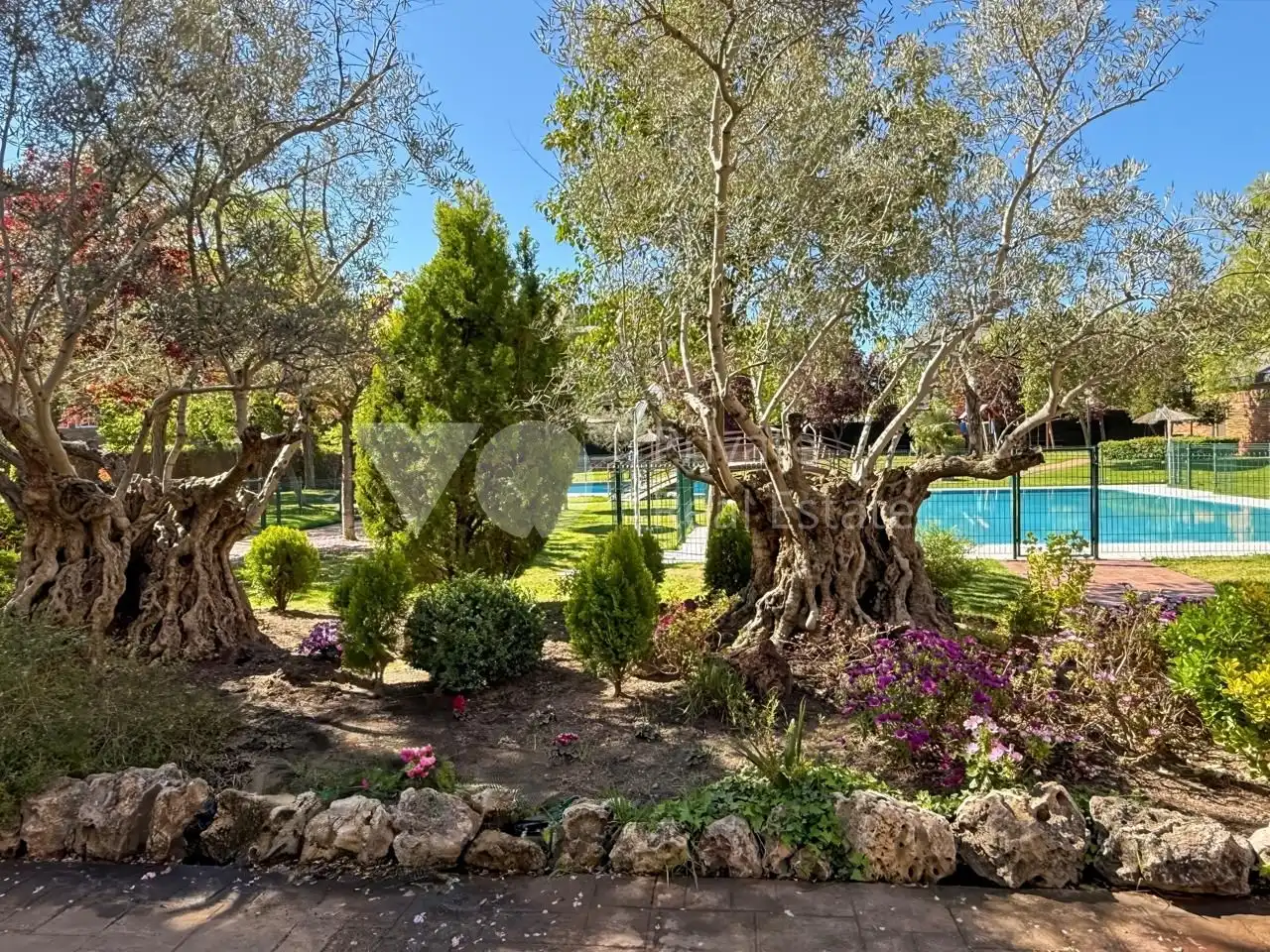 Planta baja en Majadahonda - Foto 50