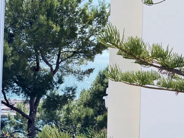 Piso en calle Benito Jerónimo Feijóo, 4 - Foto 12