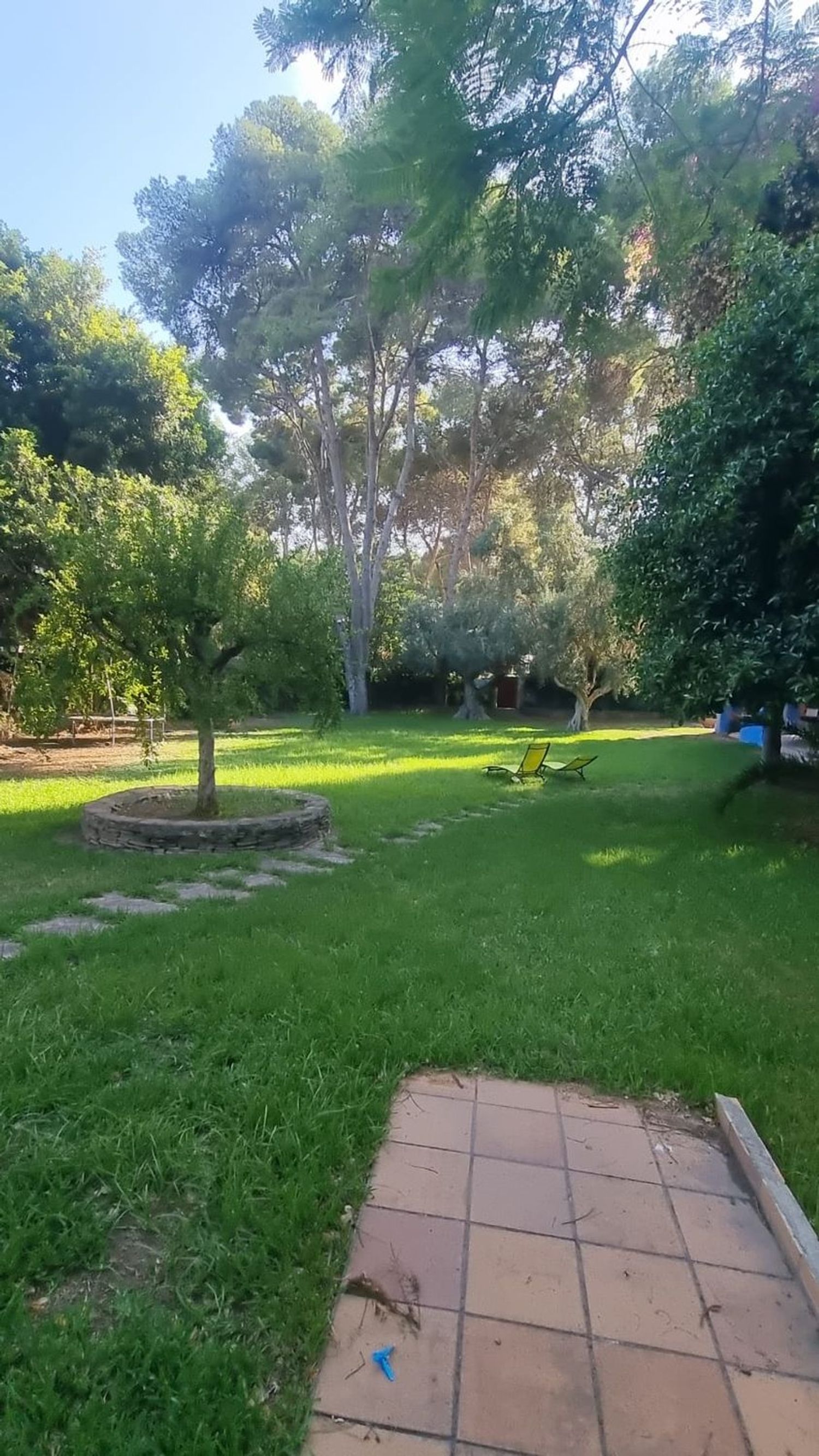 Casa o chalet independiente en Avenida Ametllers, 20, Campolivar, Campolivar - Foto 15